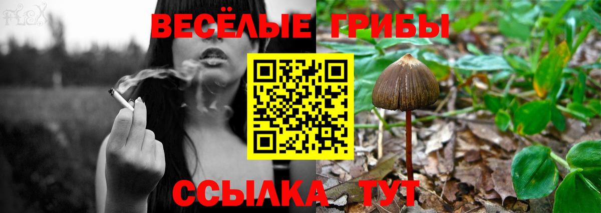 Галлюциногенные грибы Cubensis  Вход с VPN  Югорск 